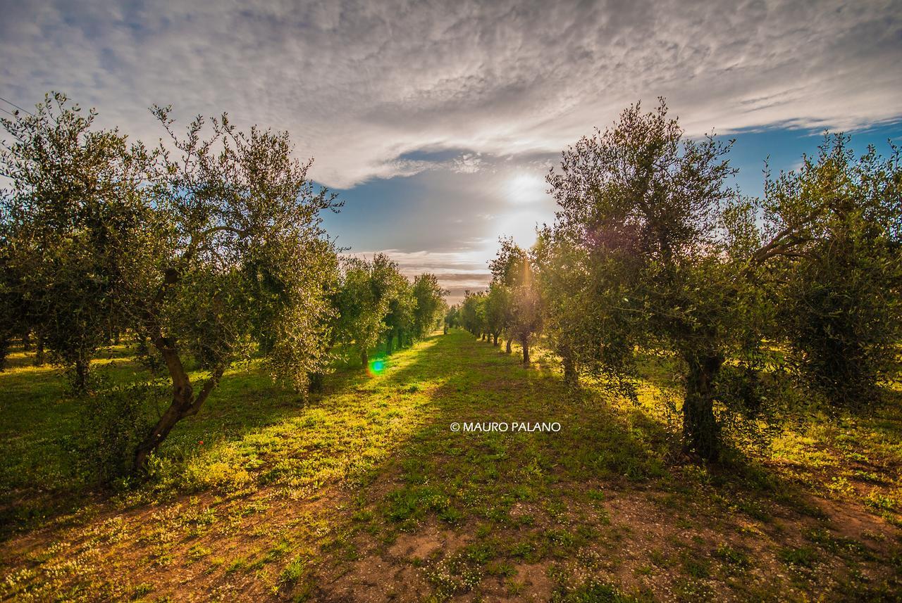 Tenuta Kyrios بورغوني المظهر الخارجي الصورة